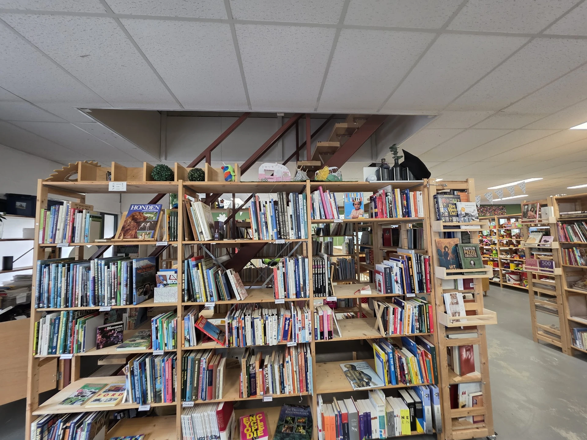 Houten boekenkasten met dvd's, blu-rays en boeken netjes uitgestald in de winkel