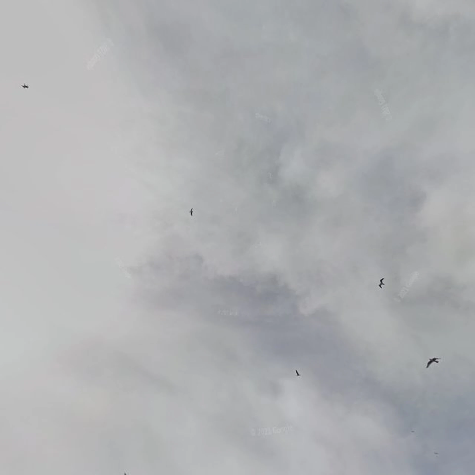 Kringloopwinkel Kringloopwinkel Dorcas Winkel Groot-Ammers in Groot-Ammers