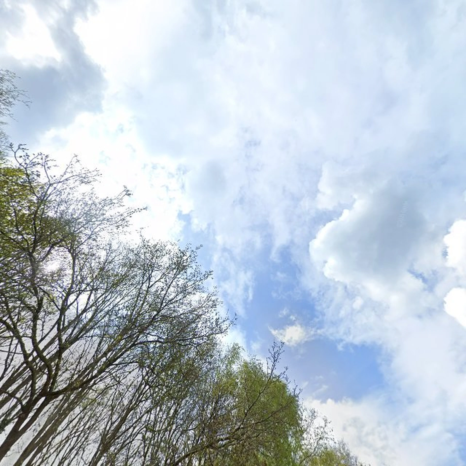 Kringloopwinkel Kringloopwinkel Dorcas Winkel Hattem in Hattem