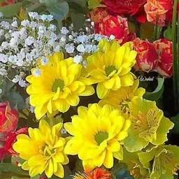 Uitgestalde snijbloemen in verschillende kleuren: gele dahlia's, witte en blauwe bloemen, en rode rozen