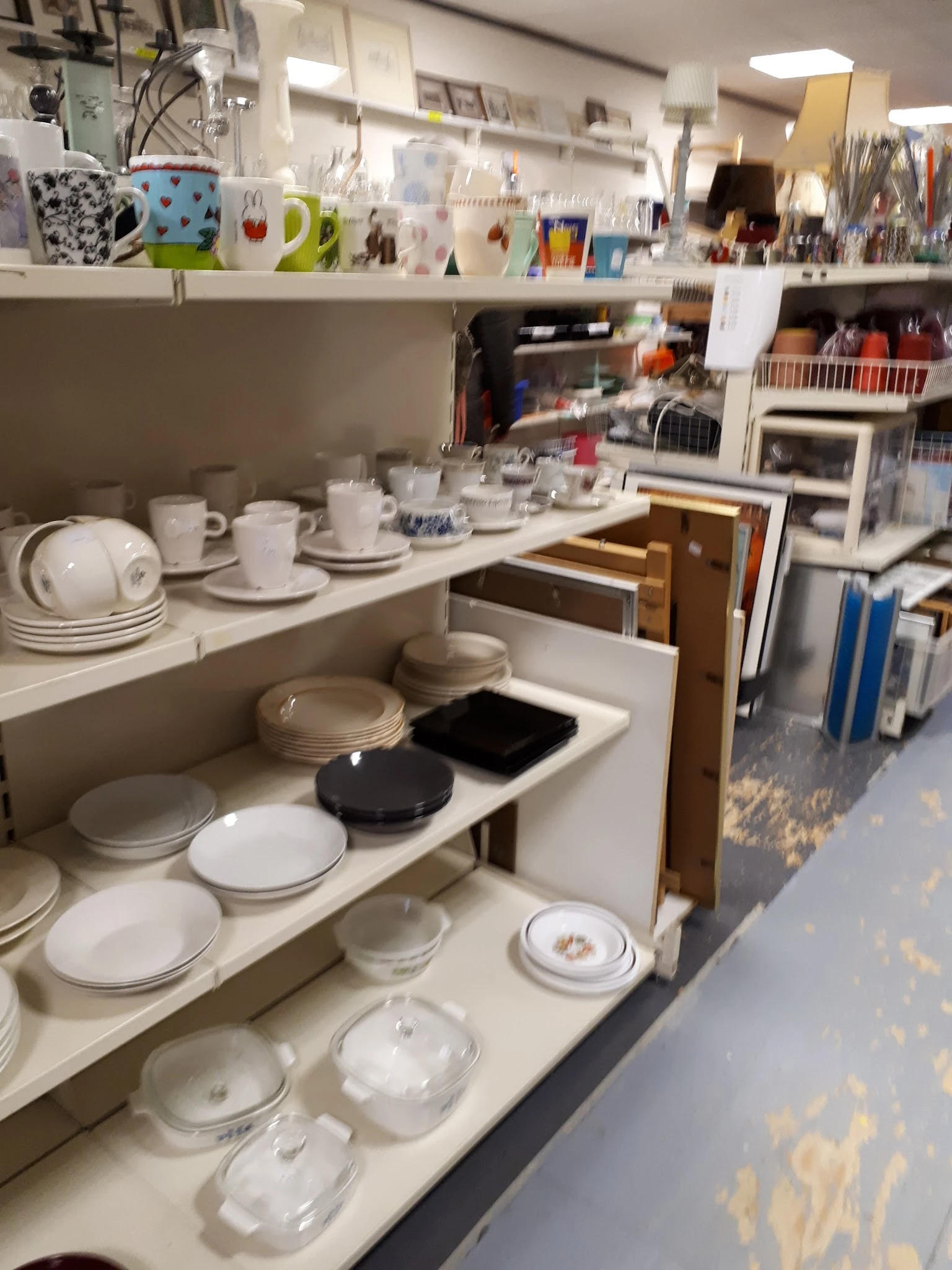 Schappen met wit serviesgoed, borden, kopjes en schotels in een kringloopwinkel
