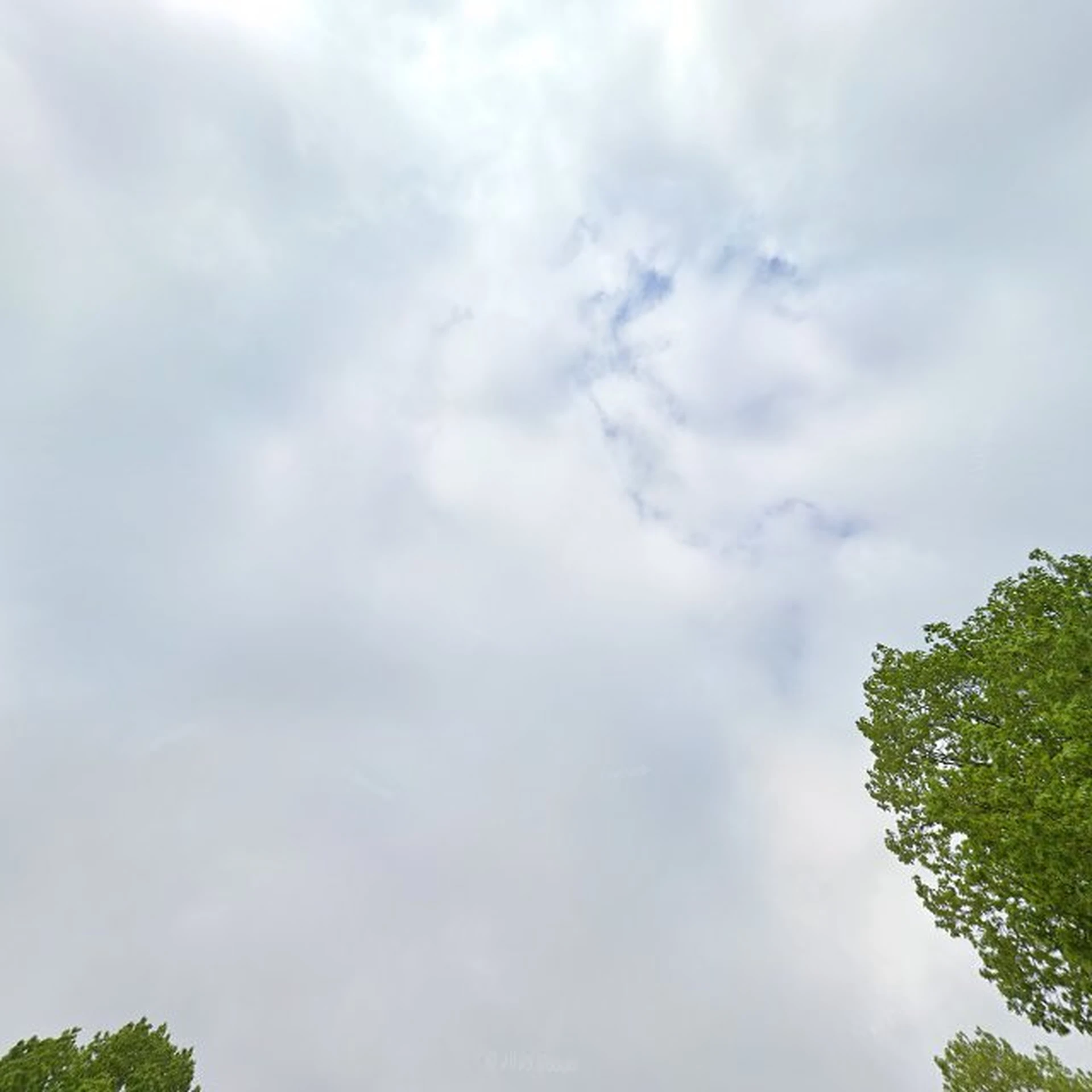 Kringloopwinkel Kringloopwinkel Dorcas Winkel Heiloo in Heiloo