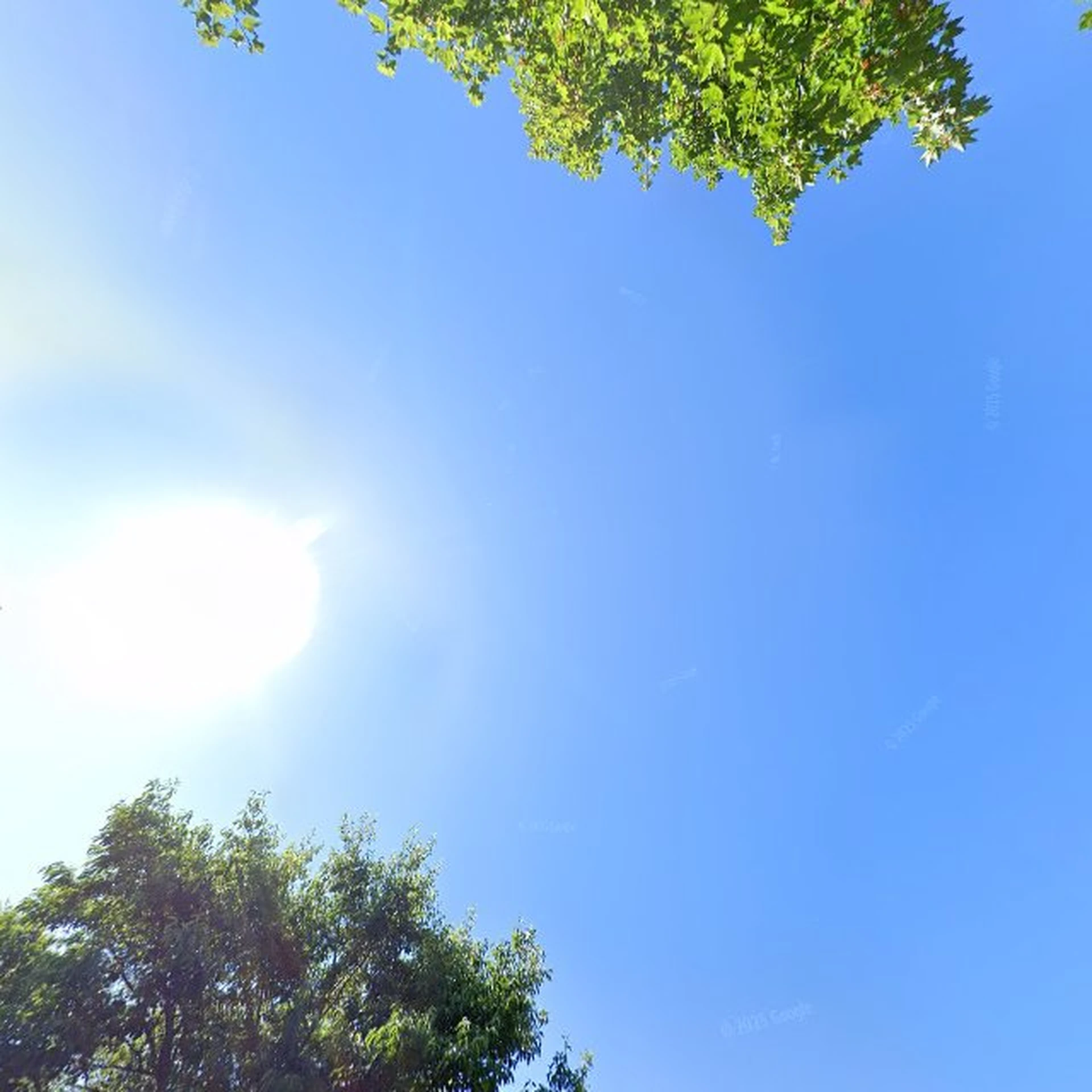 Kringloopwinkel Kringloopwinkel Dorcas winkel KRV in Katwijk aan Zee