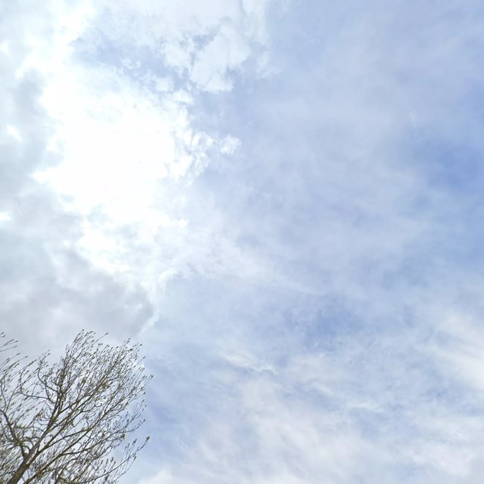 Kringloopwinkel Kringloopwinkel Dorcas Winkel Schoonhoven in Schoonhoven