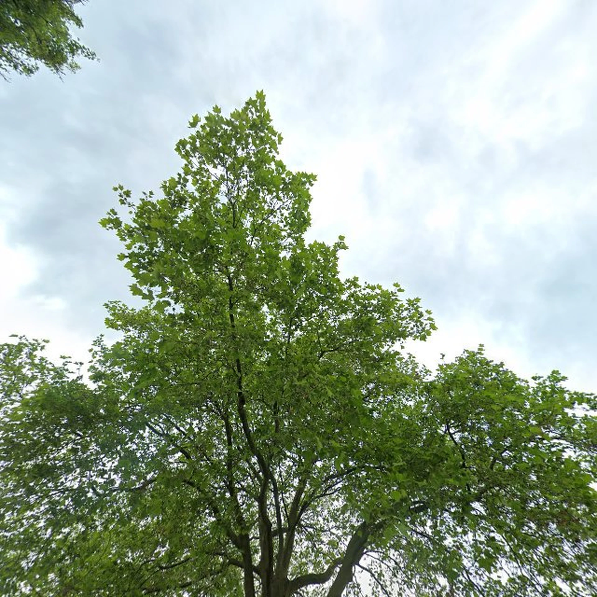 Kringloopwinkel Kringloopwinkel Dorcas Winkel Terneuzen in Terneuzen