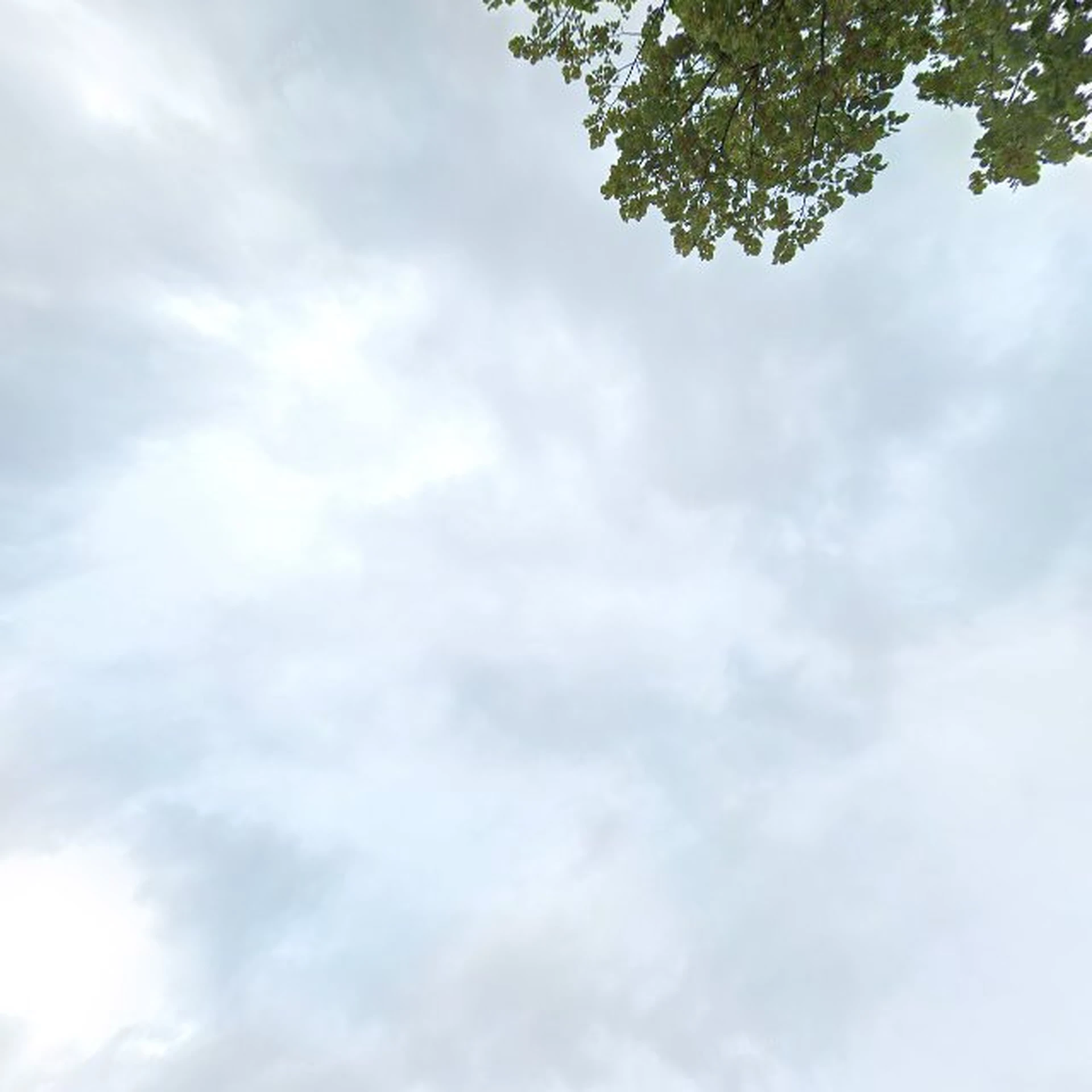 Kringloopwinkel Kringloopwinkel Dorcas Winkel Winsum in Winsum