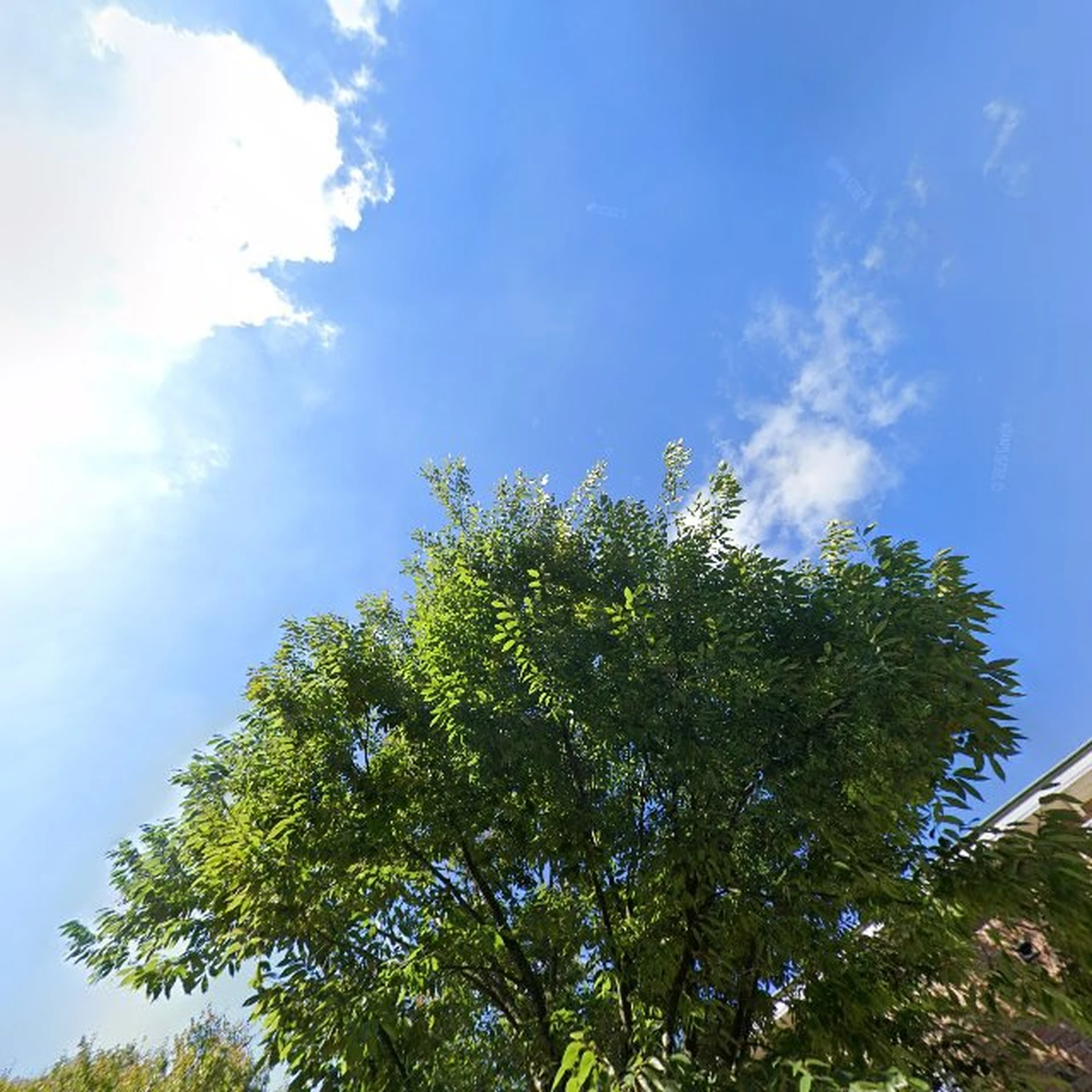 Kringloopwinkel Dude Goed Atelier 'The Goed Pillow' in Nootdorp