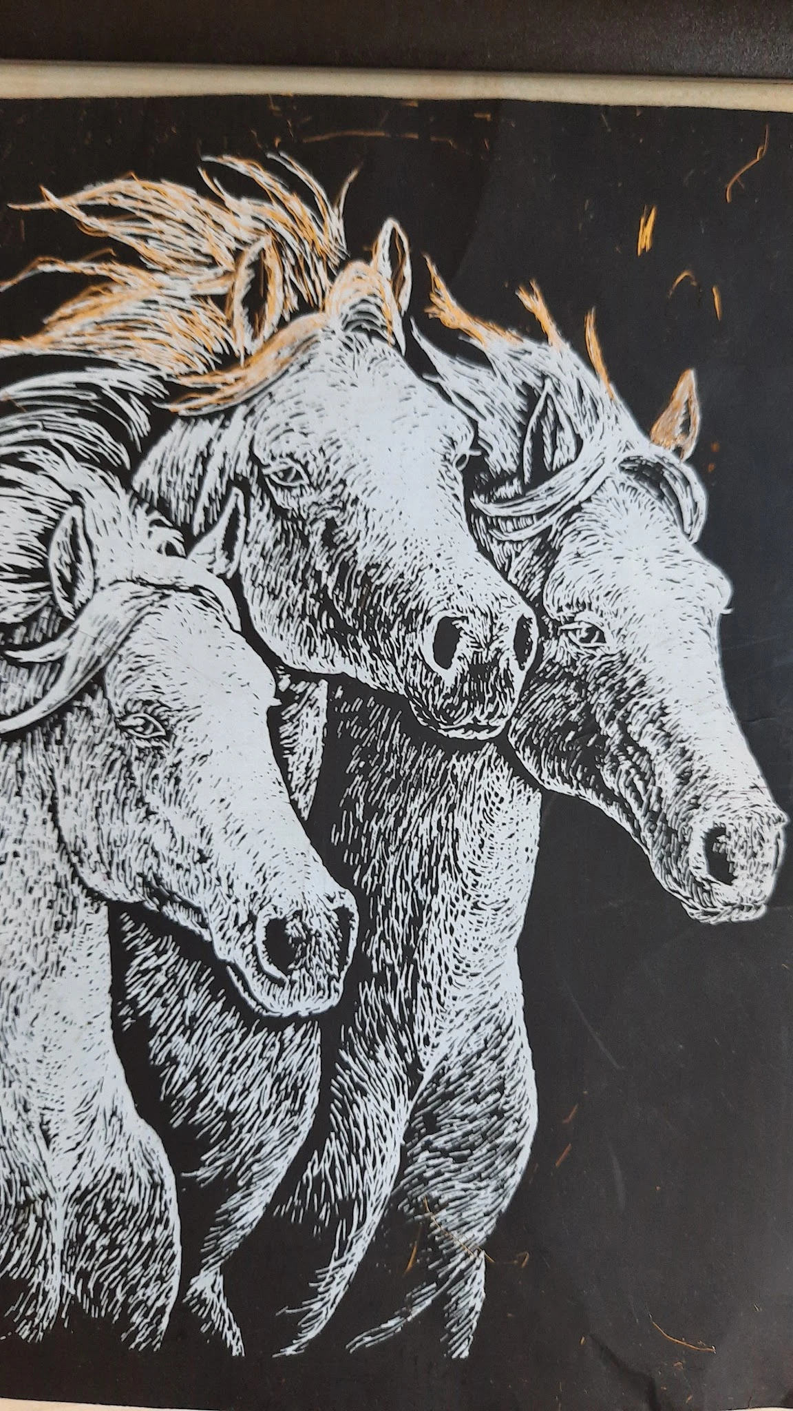 Zwart-wit tekening van drie koeienkoppen dicht op elkaar