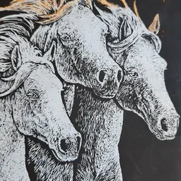 Zwart-wit tekening van drie koeienkoppen dicht op elkaar