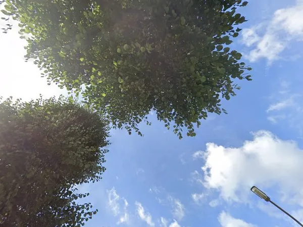 Kringloopwinkel Kringloopwinkel E. en E. in Weert