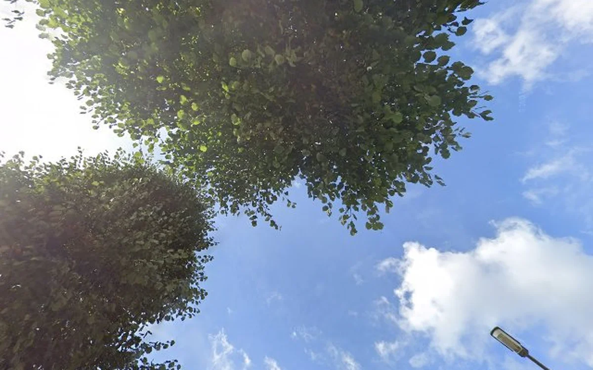 Kringloopwinkel Kringloopwinkel E. en E. in Weert