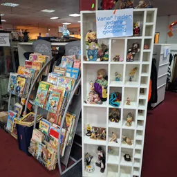 Winkelinterieur met displaykasten en rekken vol tweedehands spullen, boeken en verzamelobjecten