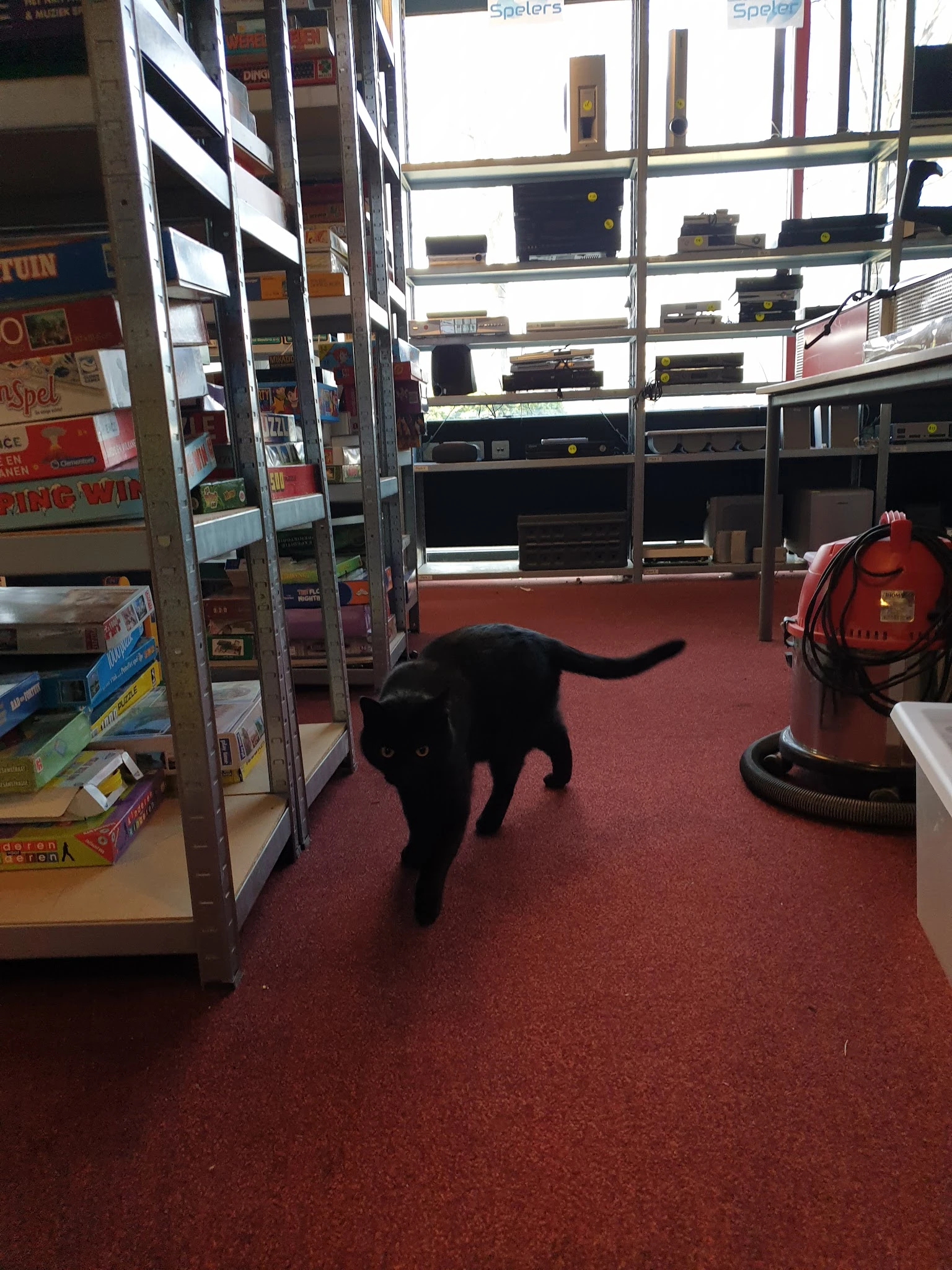 Winkelvloer van kringloopwinkel met zwarte kat, stellingen en rode brandkraan