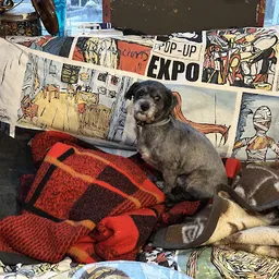 Bezoeker foto van Kringloopwinkel Edison39.nl in Eindhoven