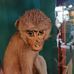 Bezoeker foto van Kringloopwinkel Edison39.nl in Eindhoven