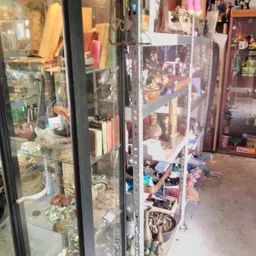 Glazen vitrines met verzamelobjecten en spullen in de winkel, zicht op meerdere afdelingen met displays