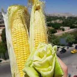 Bezoeker foto van Kringloopwinkel Een Aarde in Asten