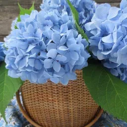 Bezoeker foto van Kringloopwinkel Een Aarde in Asten