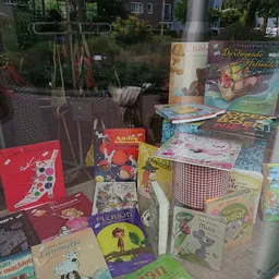 Bezoeker foto van Kringloopwinkel Emmaus Domstad, locatie Parkwijk in Utrecht