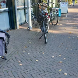 Parkeerplaats met fietsen en gevallen bladeren op tegels