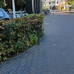 Gedeelte van winkelvoorgevel met klimop en straatobstructies