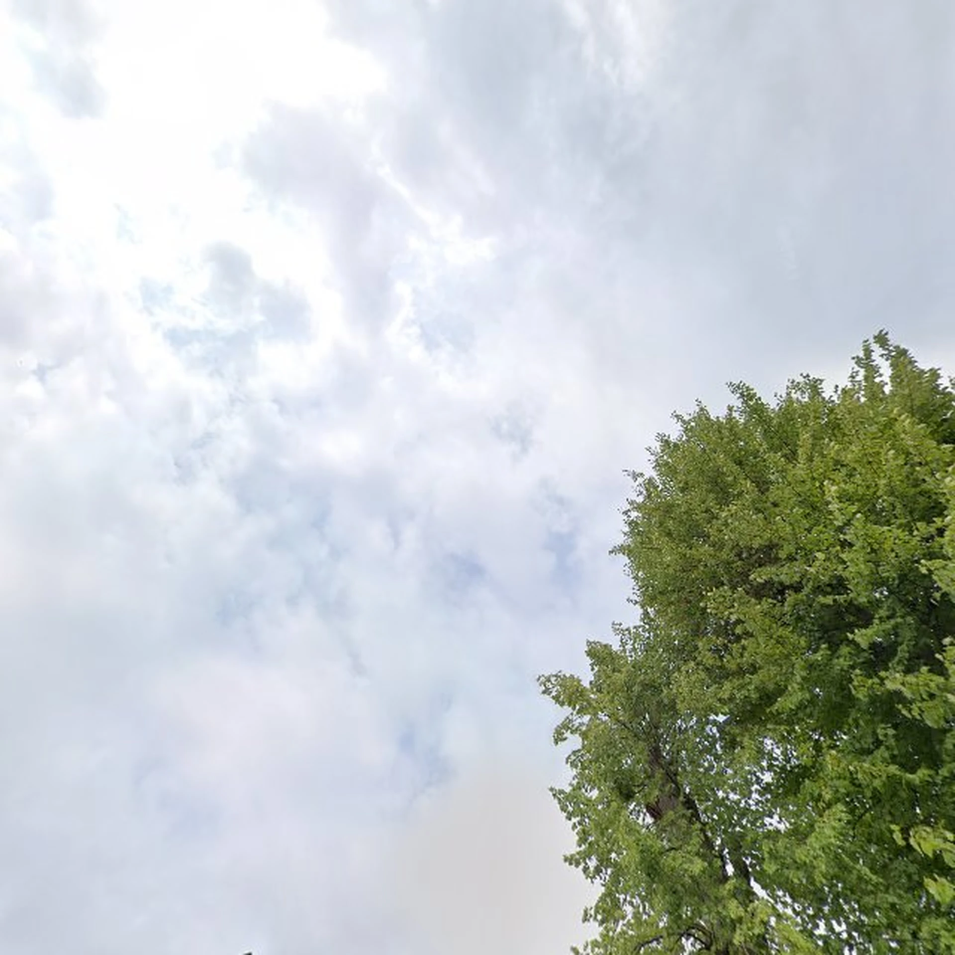 Kringloopwinkel Emmaus Eemsmond De Kringloopwinkel in Farmsum