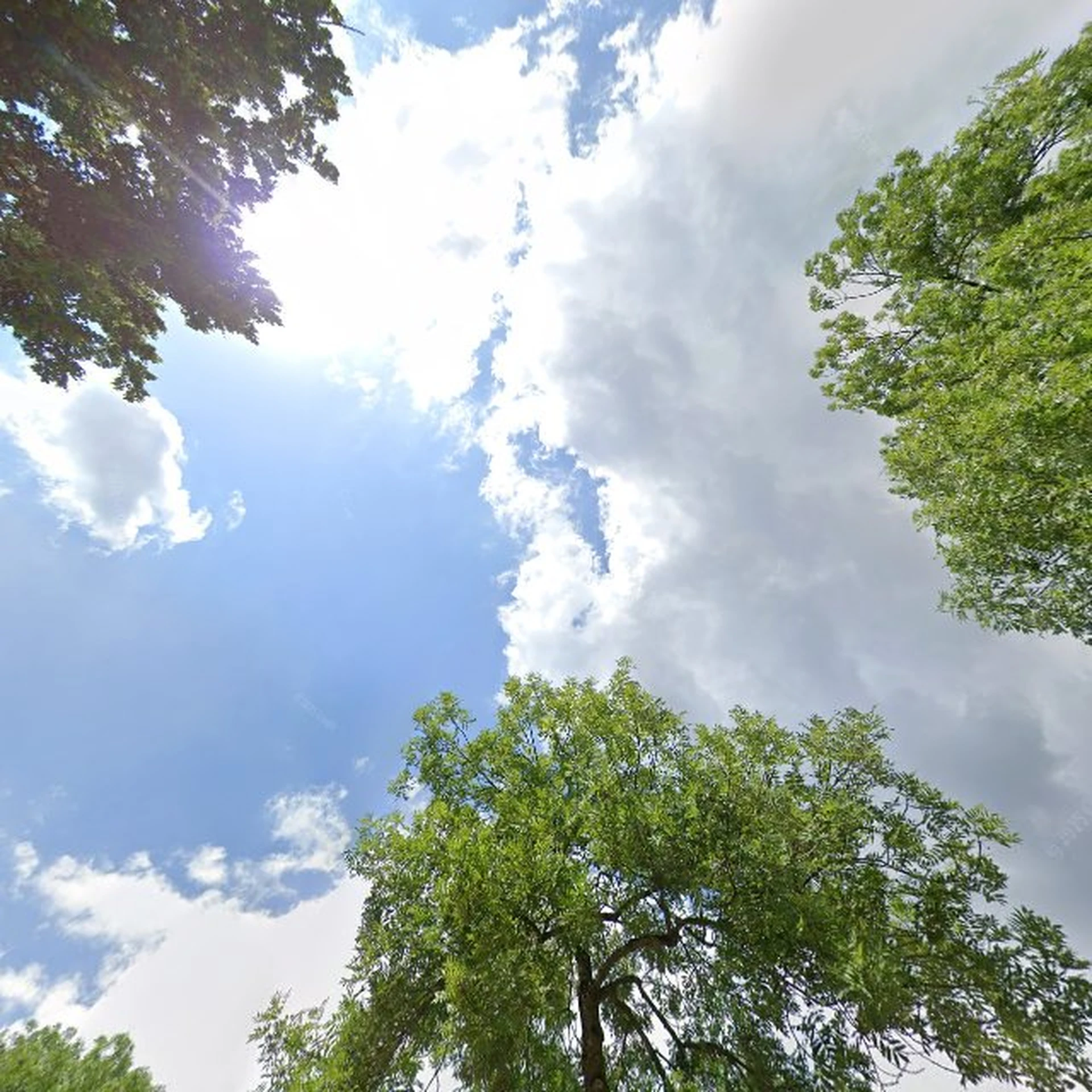 Kringloopwinkel Kringloopwinkel Emmaus Eindhoven in Eindhoven