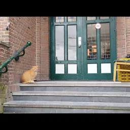 Ingang van een kringloopwinkel met groene deuren, rode bakstenen gevel en trappen, met een kat op de stoep