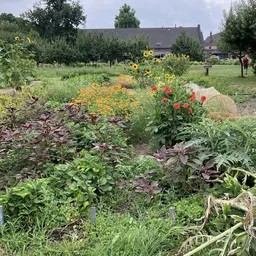 Groentuin met groenten, bloemen en kruiden in bedden met ondersteuning door stenen.