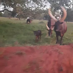 Bezoeker foto van Kringloopwinkel Emmaus Haarzuilens in Utrecht