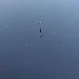 Bezoeker foto van Emmaus Langeweg in Langeweg