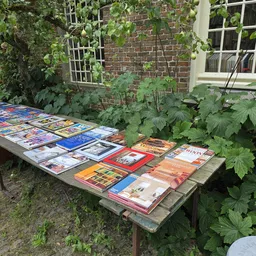 Tafel buiten tegen bakstenen muur met uitgestalde boeken in verschillende kleuren