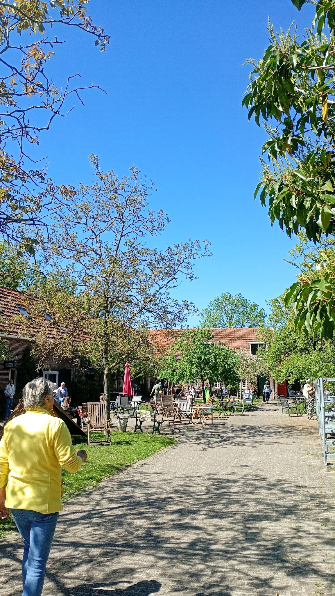 Binnentuin of pleintje met zitplekken, bomen en bakstenen gebouwen eromheen