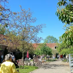 Binnentuin of pleintje met zitplekken, bomen en bakstenen gebouwen eromheen