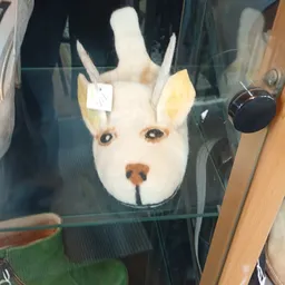 Close-up van een wit decoratief hondenhoofdje met gele oren en bruine neus