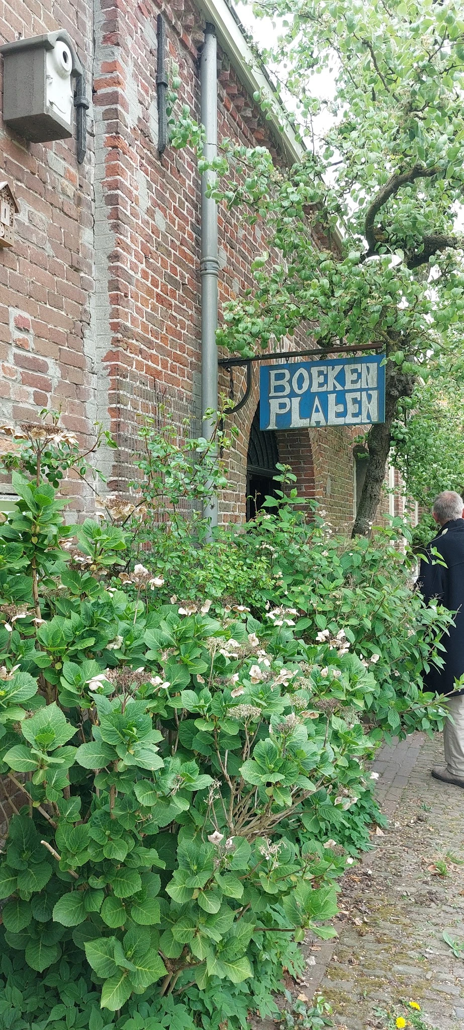 Ingang van kringloopwinkel Boeken Plaats met blauwe uithangbord, omgeven door groen en bloeiende planten