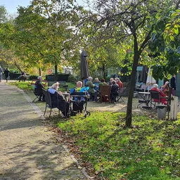 Mensen zitten onder bomen in een parkachtige omgeving met banken en stoelen