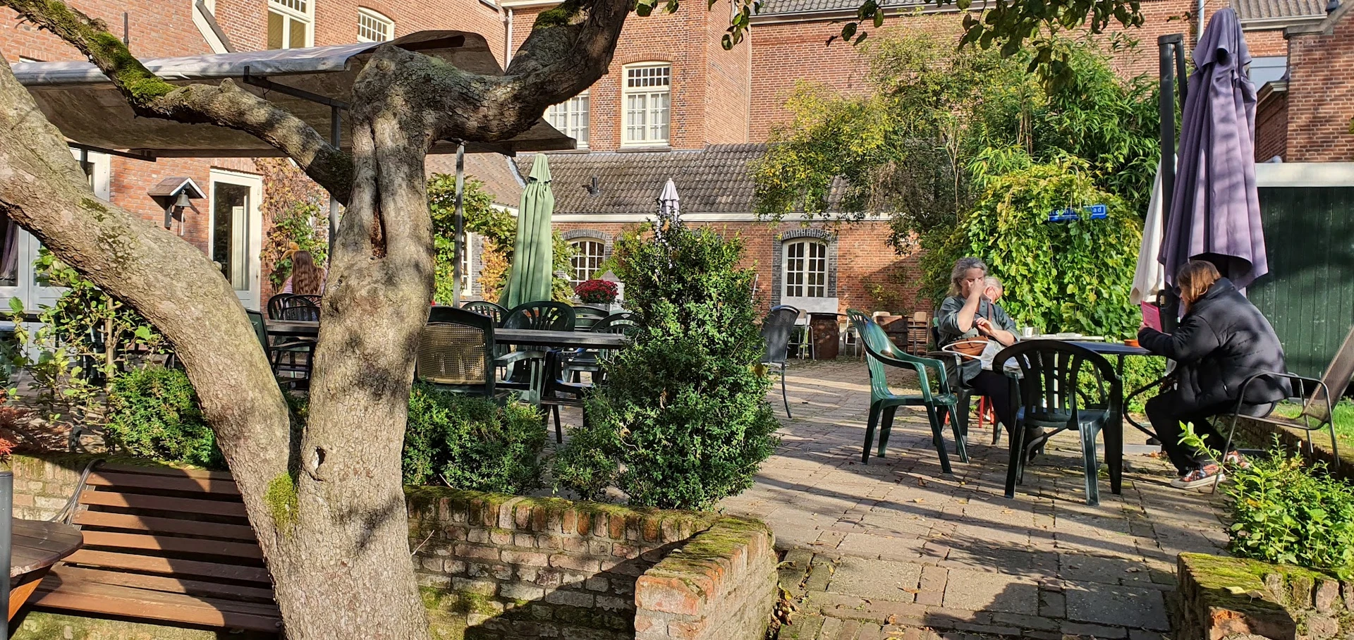Terras met tafels en stoelen onder een oude boom bij een bakstenen gebouw