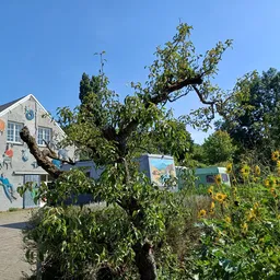 Voorkant van Emmaus Langeweg met muurschildering en tuinplanten, onder blauwe lucht
