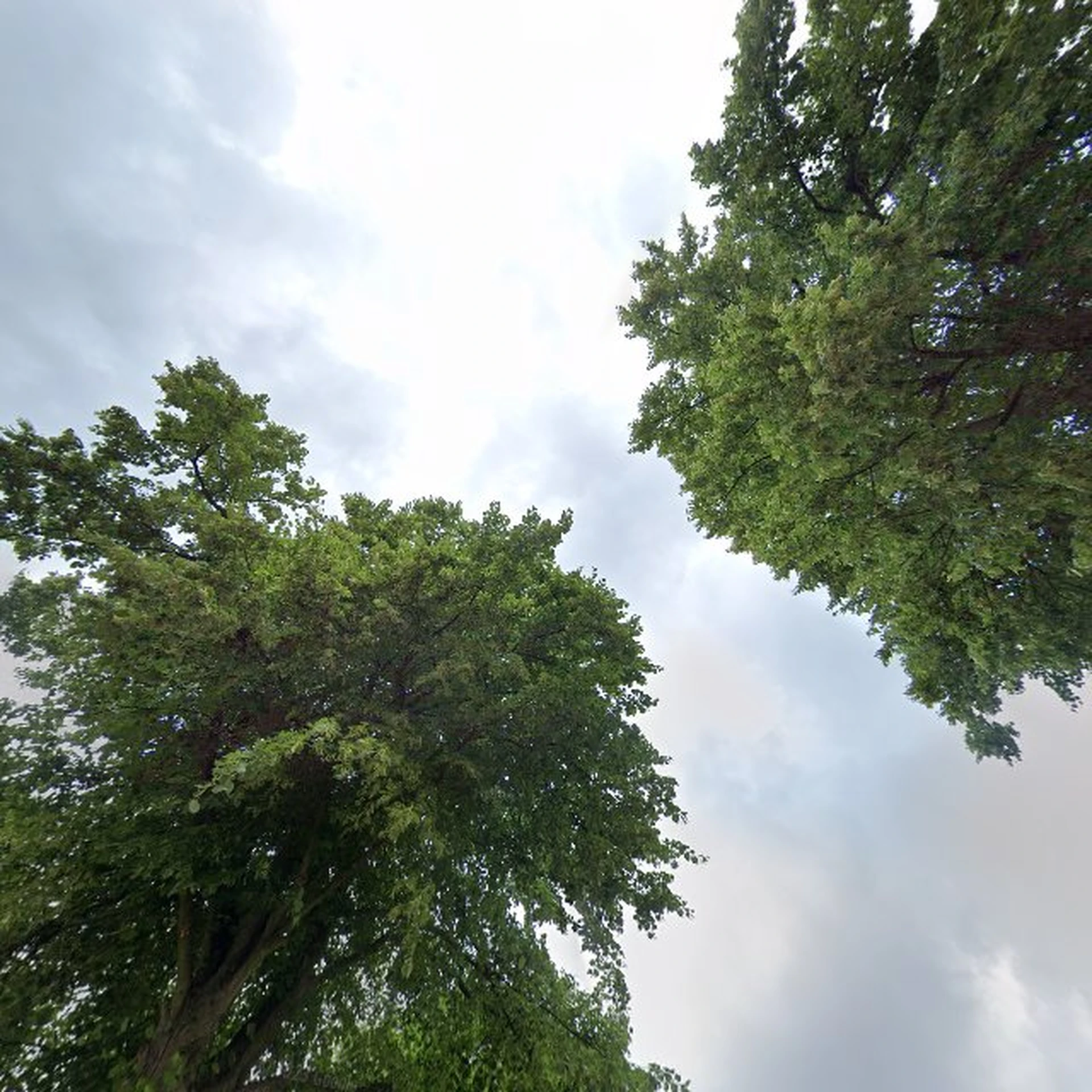 Kringloopwinkel Kringloopwinkel Emmaus Lombok in Utrecht