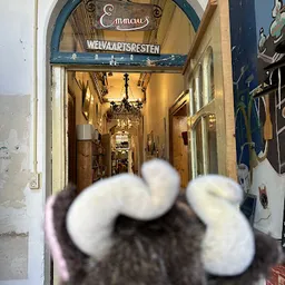 Bezoeker foto van Kringloopwinkel Emmaus Welvaartsresten in Den Haag