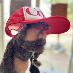 Bezoeker foto van Kringloopwinkel Emmaus Welvaartsresten in Den Haag