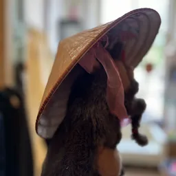 Bezoeker foto van Kringloopwinkel Emmaus Welvaartsresten in Den Haag