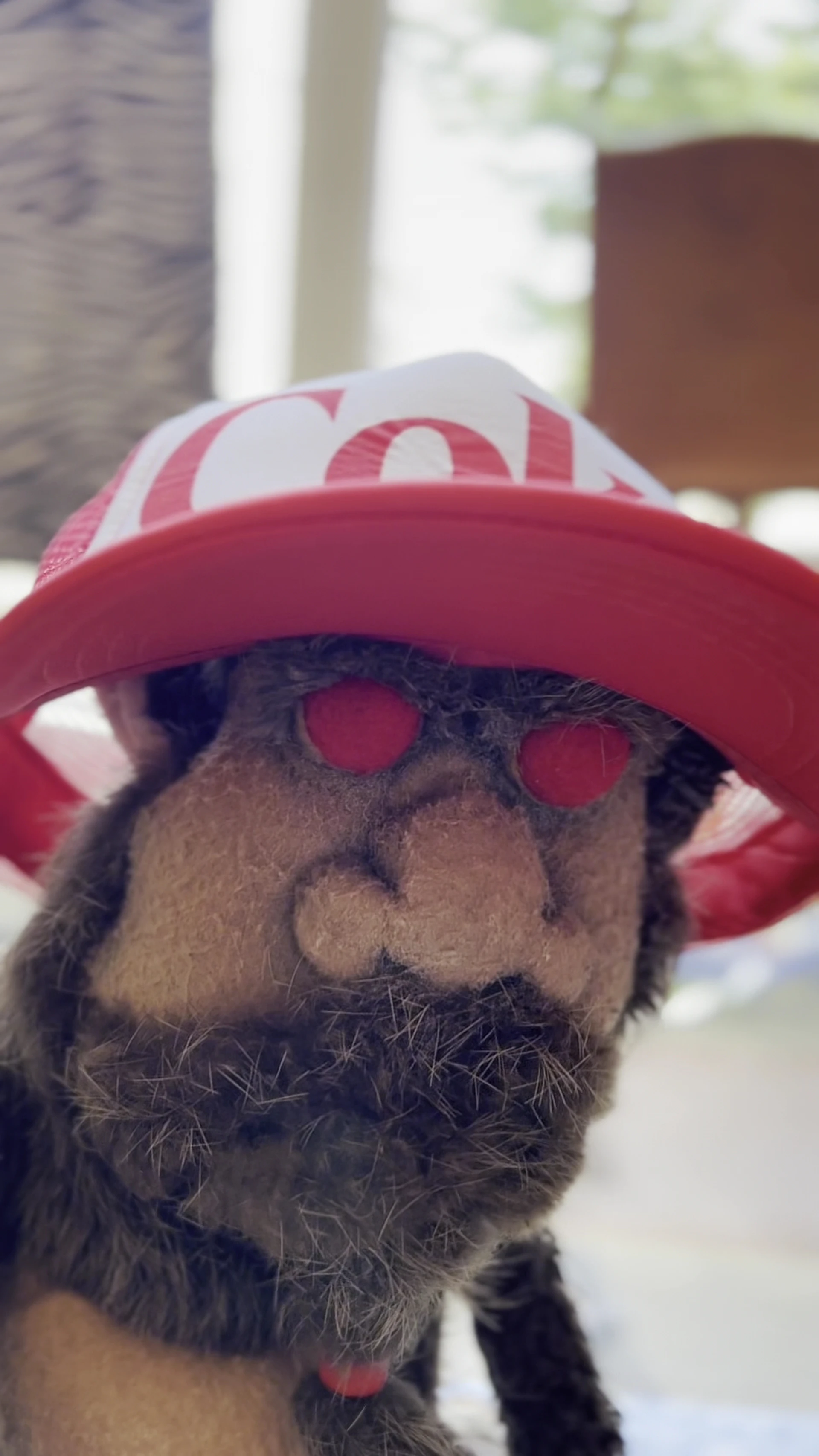 Kringloopwinkel Kringloopwinkel Emmaus Welvaartsresten in Den Haag