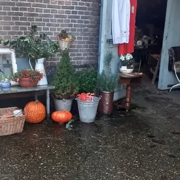 Buiten uitgestalde seizoensartikelen: pompoenen, potplanten, bloemen en decoratieve items