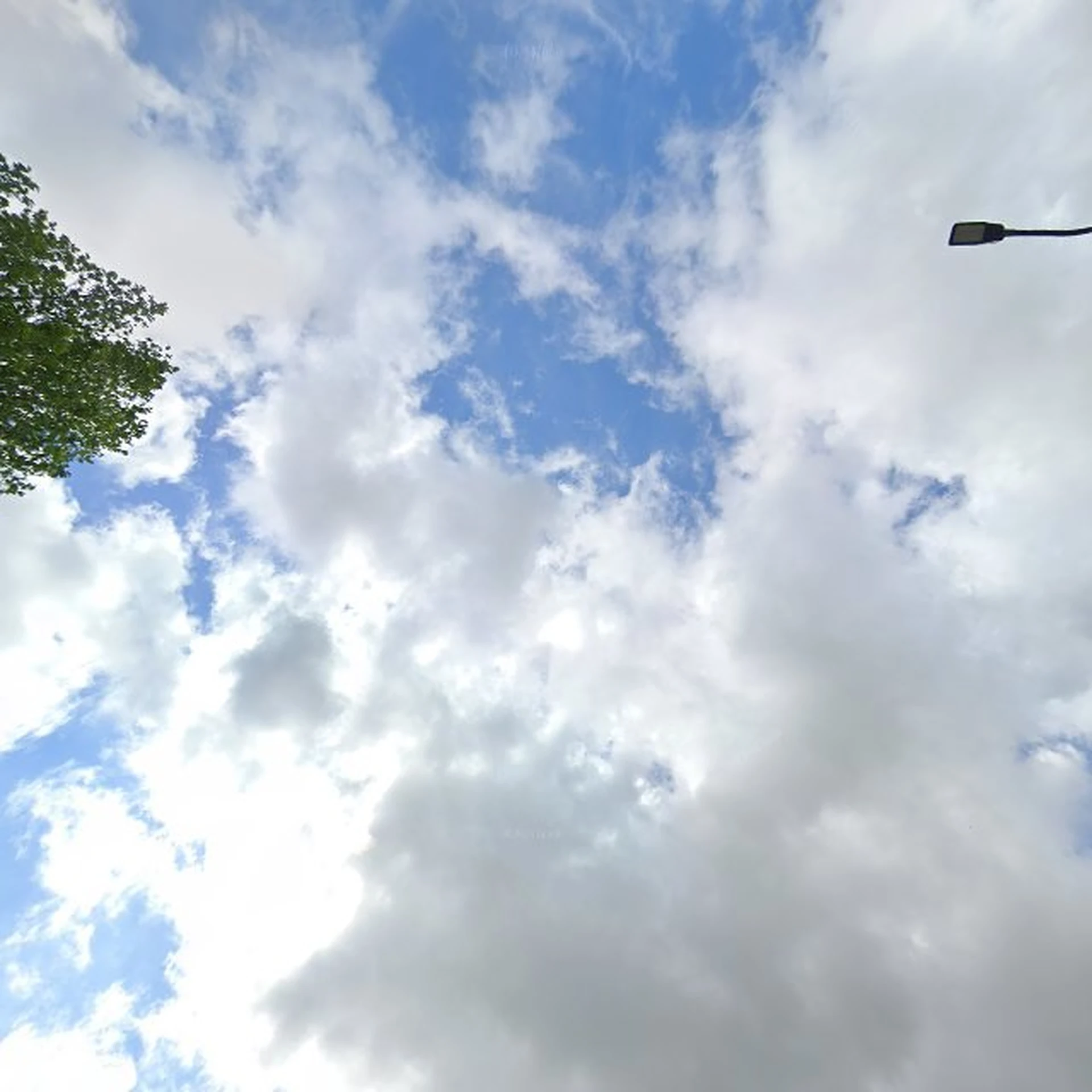 Kringloopwinkel Kringloopwinkel Estafette recyclewinkel Harlingen in Harlingen