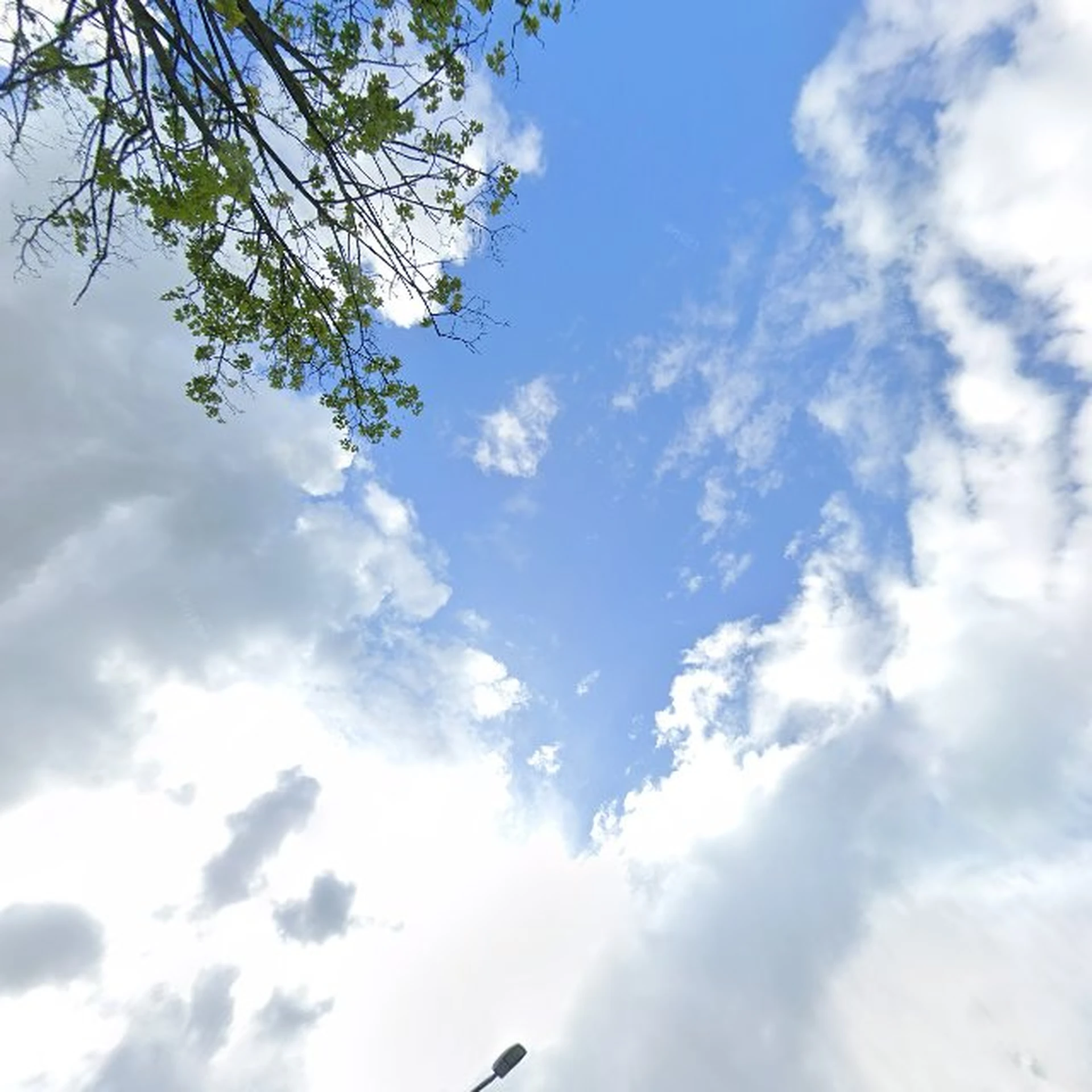 Kringloopwinkel Estafette recyclewinkel Oosterwolde in Oosterwolde