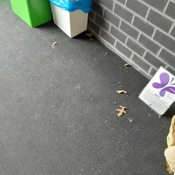 Donkere vloer met verspreid liggende bladeren, decoraties en een paars logo met vlinder
