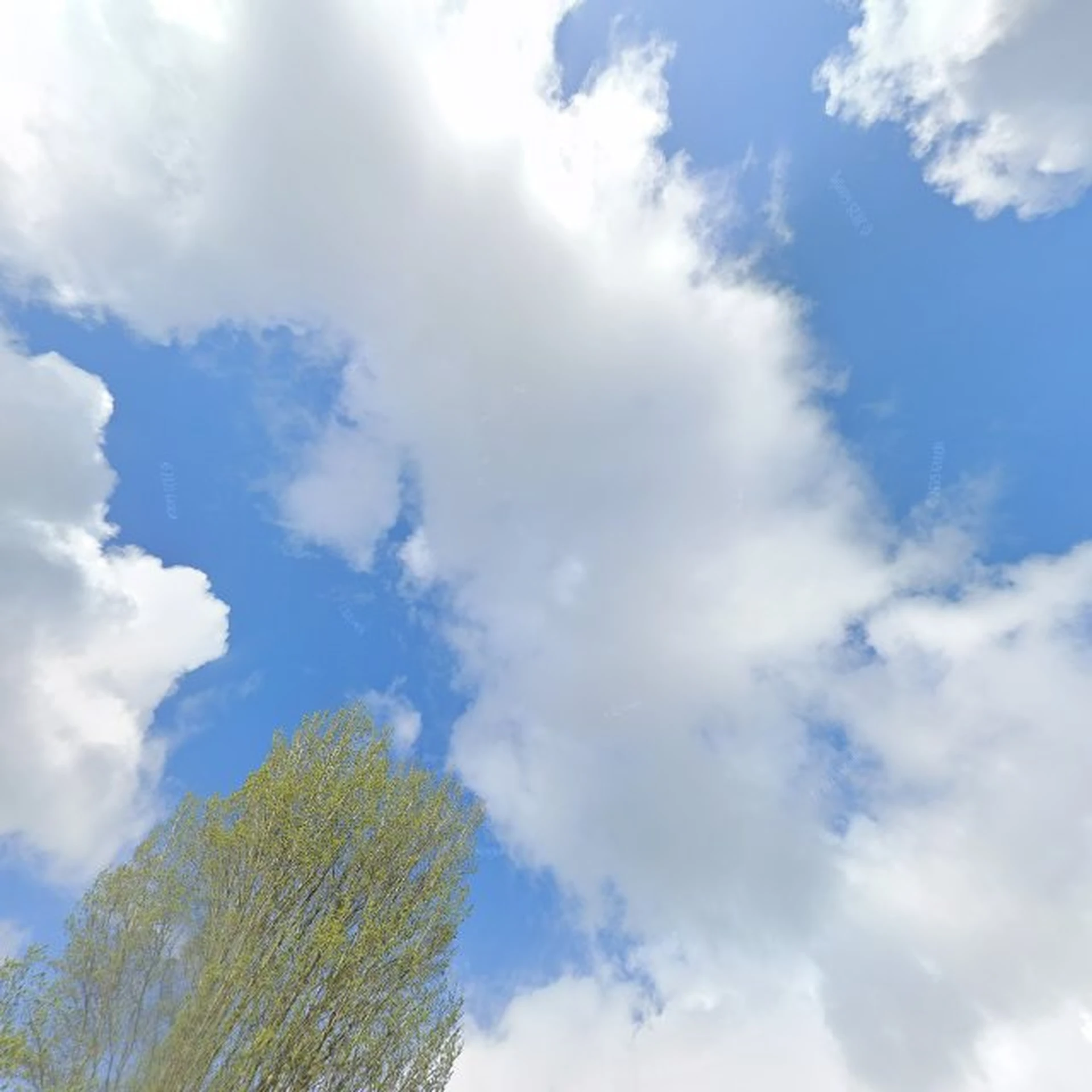 Kringloopwinkel Kringloopwinkel Estafette recyclewinkel Sneek in Sneek