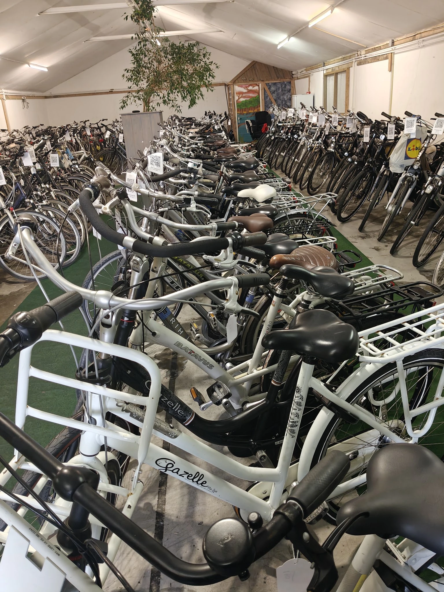 Rij met uitgstalde fietsen met witte frames en zwarte zadels in de winkel